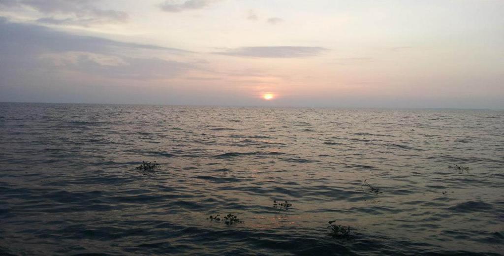 Saro Lake County Kumarakom Exteriör bild
