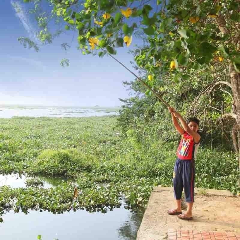 Saro Lake County Kumarakom Exteriör bild